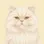 Mochi